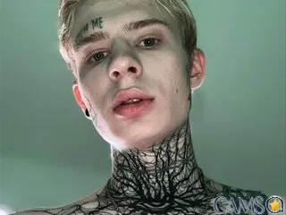 l1zerboy’s (BongaCams) Photo