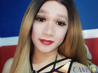 wildkimts’s BongaCams Profile Image
