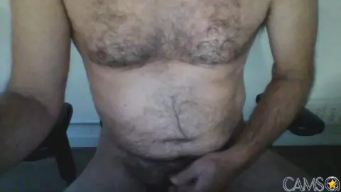 andorgest1&rsquo;s (Cam4) Photo