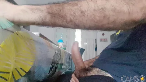 bellazio1984’s (Cam4) Photo