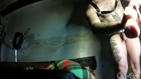 Brunomeliani’s (Cam4) Photo