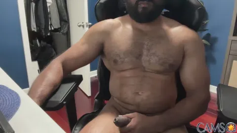 bulgingarmy’s Cam4 Profile Image