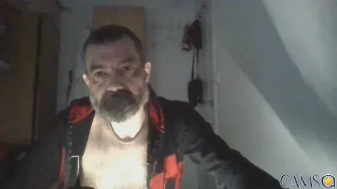 daddybearmadri5’s Cam4 Profile Image