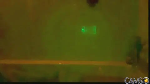 dcdomo’s Cam4 Profile Image