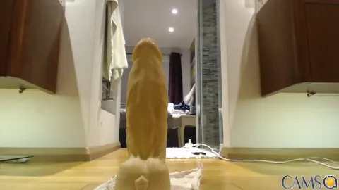 dustybin&rsquo;s (Cam4) Photo