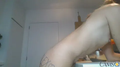 l0latentation_’s Cam4 Profile Image