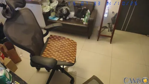 m0909753’s Cam4 Profile Image