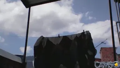 mrbrowmOriginal’s (Cam4) Photo