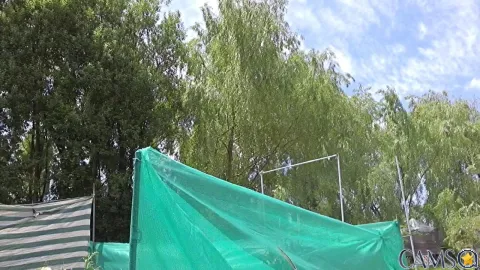 Mrmcfly1’s (Cam4) Photo