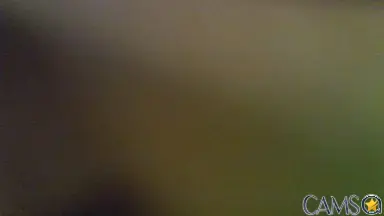 myMistressSlave’s (Cam4) Photo