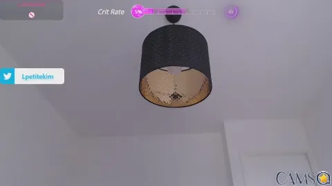 PetiteKim’s Cam4 Profile Image