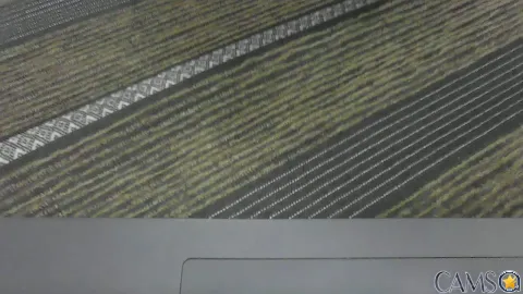 ronaldo2fun’s (Cam4) Photo