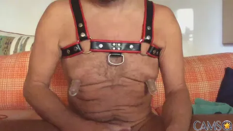 saubear2’s (Cam4) Photo