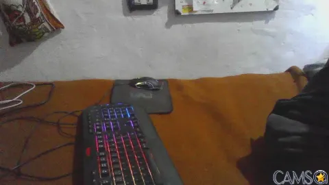 tommiverceti’s (Cam4) Photo