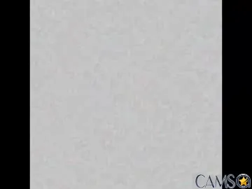 beawolf1887’s (Chaturbate) Photo