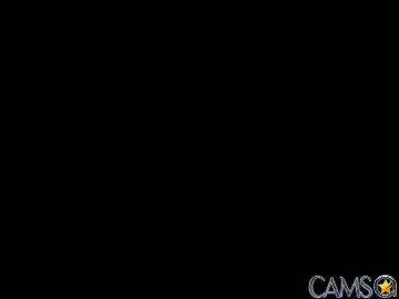 cockneegeezer’s Chaturbate Profile Image