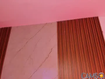 emiilycollins1’s (Chaturbate) Photo