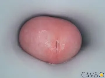 jeffrodgerschaturbat’s (Chaturbate) Photo