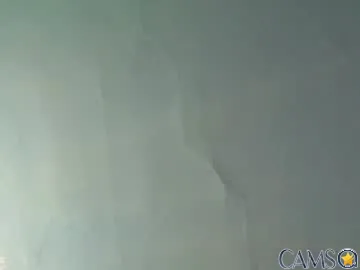 lickyouryoni’s Chaturbate Profile Image