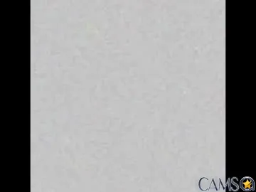 lonnabudd’s Chaturbate Profile Image