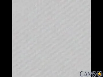 sophiamylovee1’s (Chaturbate) Photo