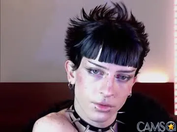 succubot’s Chaturbate Profile Image