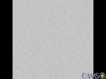 sweetsuckdick’s Chaturbate Profile Image