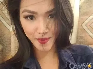 AxcelGil’s (LiveJasmin) Photo