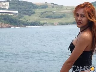 HoneyBejarano’s (LiveJasmin) Photo