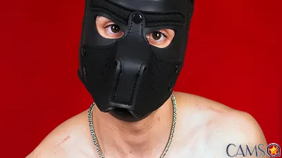 Mathew-Conelly’s SkyPrivate Profile Image