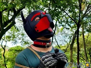 Belacqu96’s Streamate Profile Image