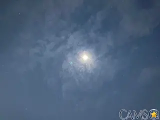 CalumBlueBee&rsquo;s (Streamate) Photo