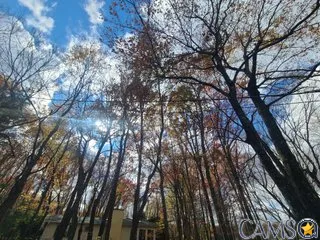 JoshC211’s (Streamate) Photo