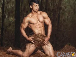 OwenWolfe’s Streamate Profile Image