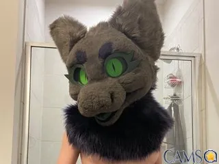 TiedMuzzled’s (Streamate) Photo