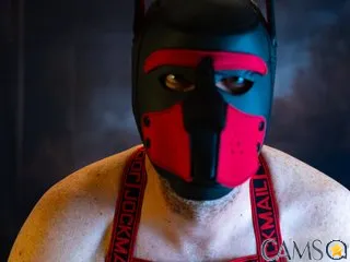 xMasked_Daddiex’s Streamate Profile Image