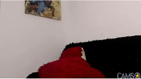 alanboss01’s (Stripchat) Photo