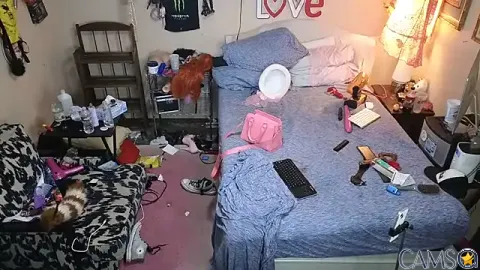 Blakelytgirl’s (Stripchat) Photo