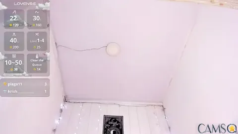 Brithanycullen’s Stripchat Profile Image