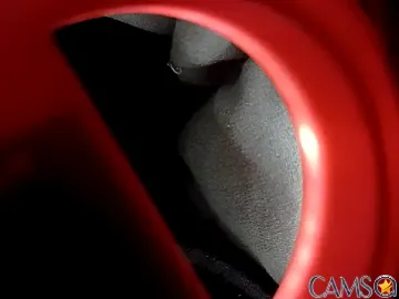 crazycam619’s Stripchat Profile Image