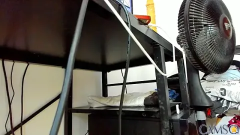 David_niet’s Stripchat Profile Image