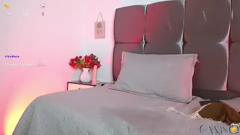 Picture of Dream_wish from Stripchat