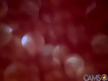 eduardbareback’s (Stripchat) Photo