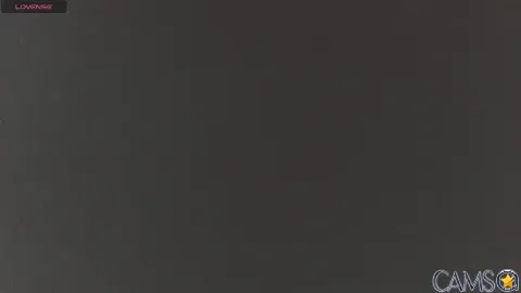 Im_david02’s Stripchat Profile Image