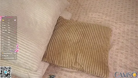 LakeshiaVodopich’s Stripchat Profile Image