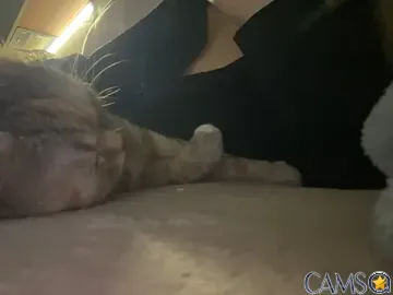 Majic_Maffin&rsquo;s (Stripchat) Photo