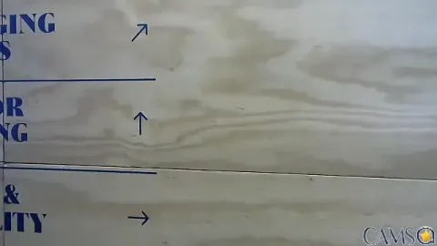 Picture of mason_fit from Stripchat