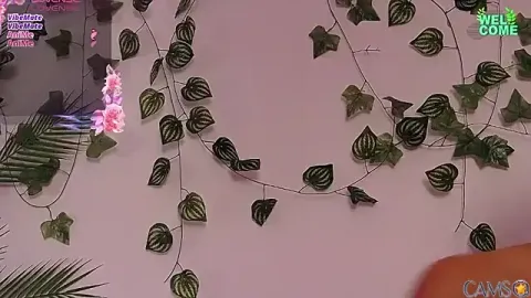 nadineglam’s (Stripchat) Photo