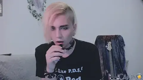 sademobeer’s Stripchat Profile Image