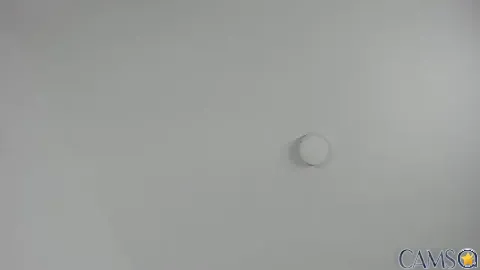 skaylar_95_mylove’s Stripchat Profile Image